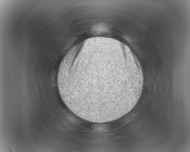 X0000065960273200603311820