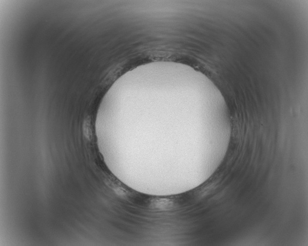 X0000065960287200603311820