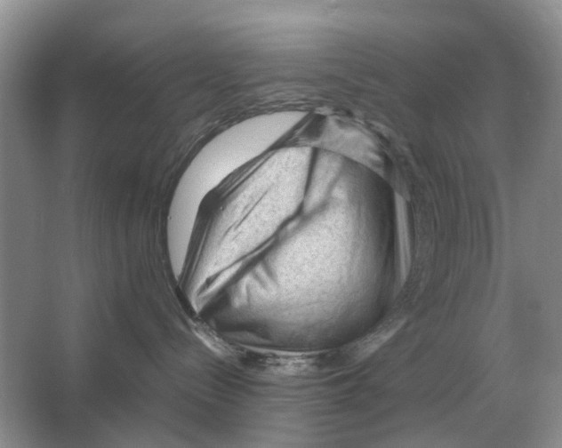 X0000065960288200603311820