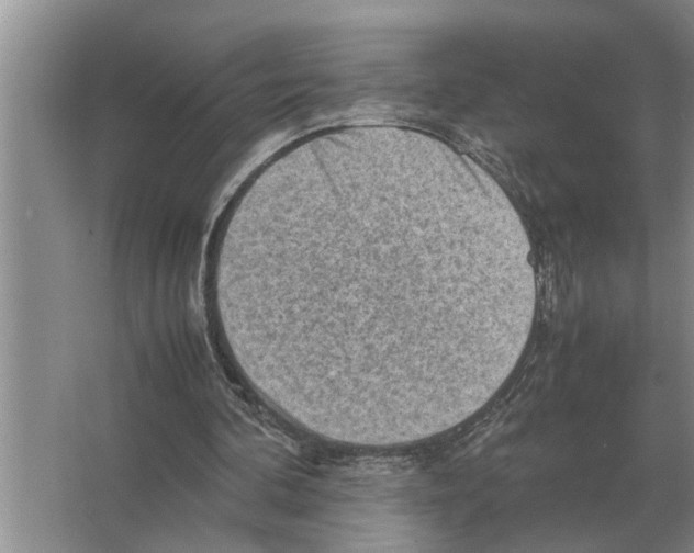 X0000065960292200603311819