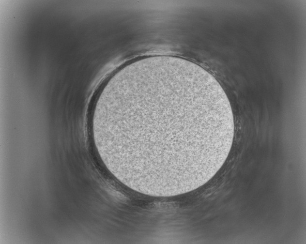 X0000065960296200603311819