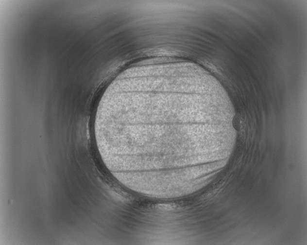 X0000065960302200603311819