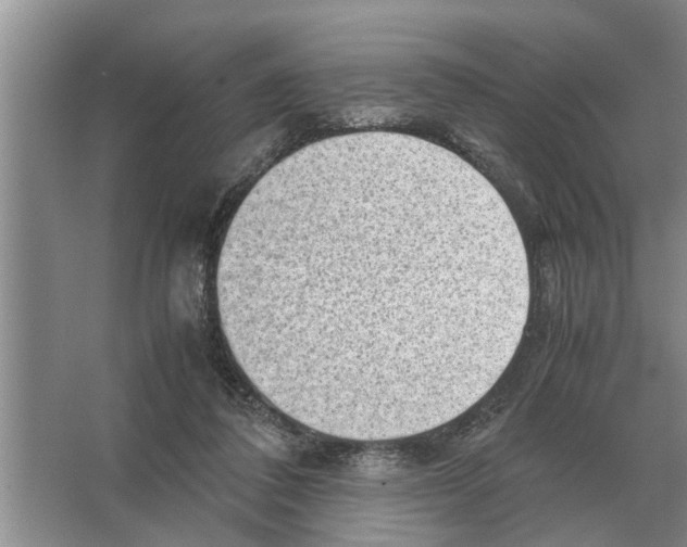 X0000065960308200603311819