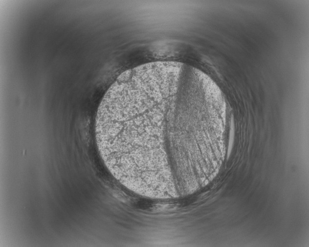 X0000065960319200603311819
