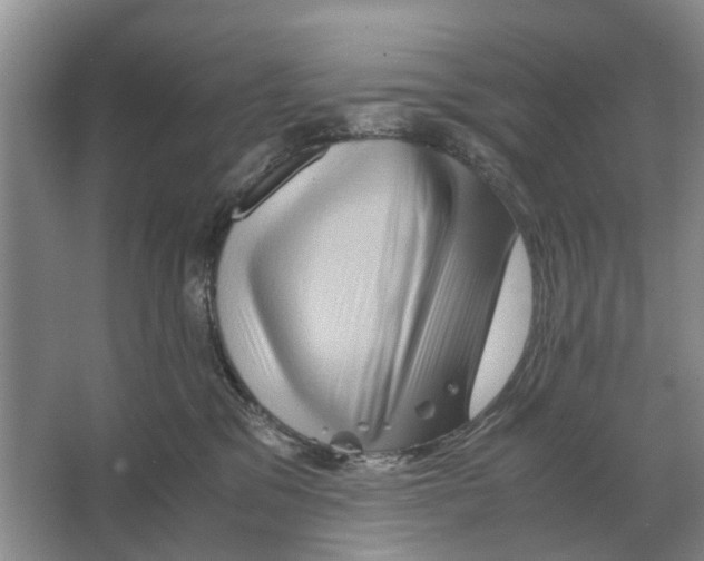 X0000065960329200603311818