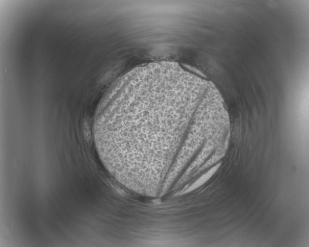 X0000065960335200603311818