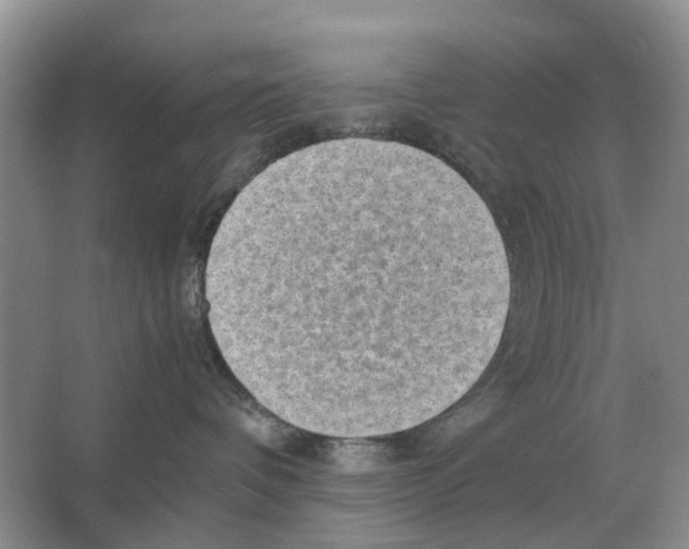 X0000065960336200603311818