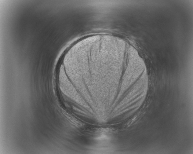 X0000065960342200603311817