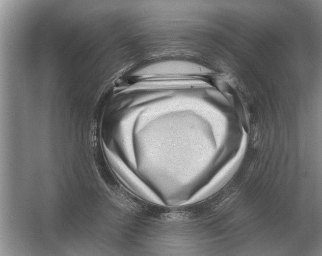 X0000065960356200603311818
