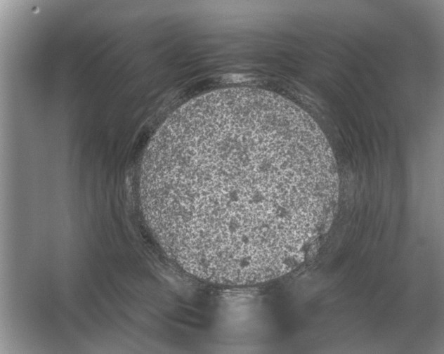 X0000065960373200603311818