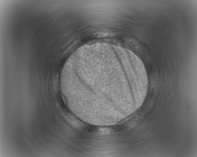 X0000065960376200603311818