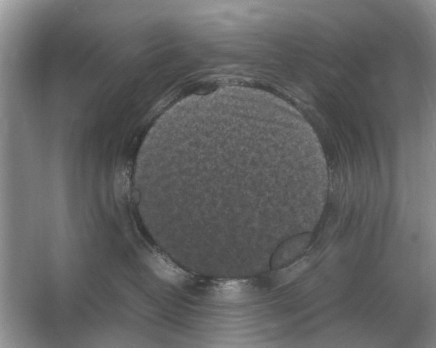 X0000065960382200603311818