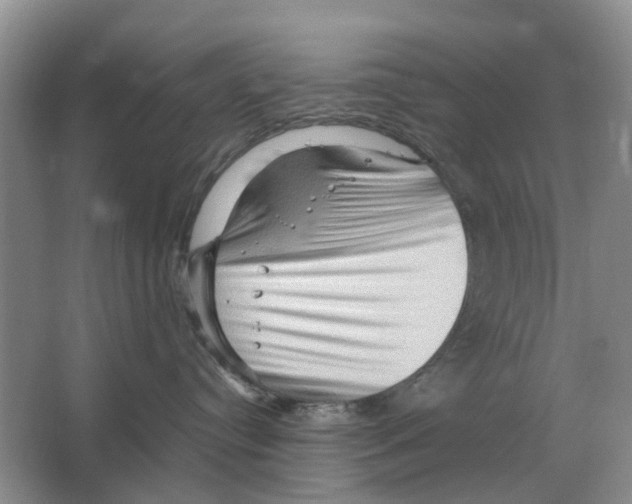 X0000065960384200603311818