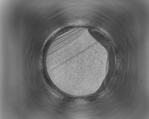 X0000065960392200603311817