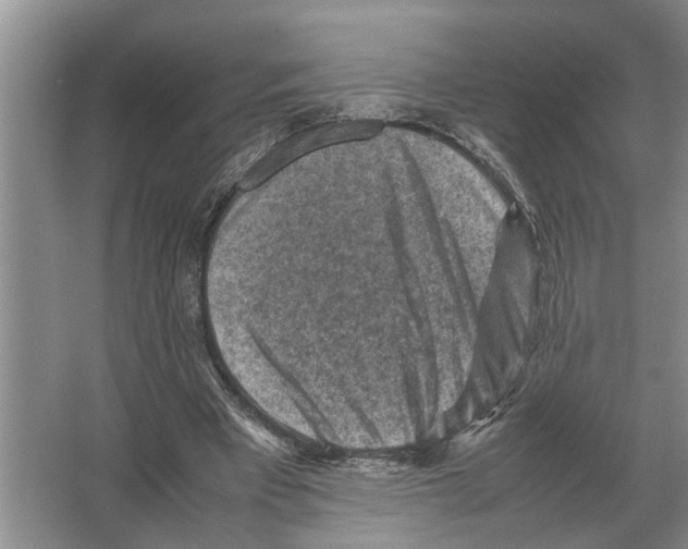 X0000065960393200603311817