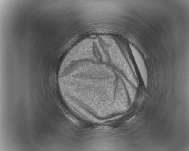 X0000065960397200603311817