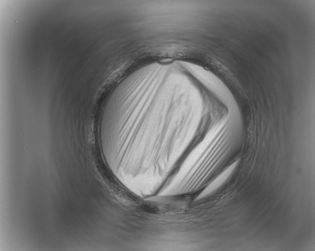 X0000065960403200603311817
