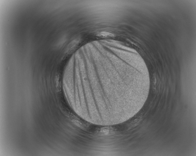 X0000065960420200603311817