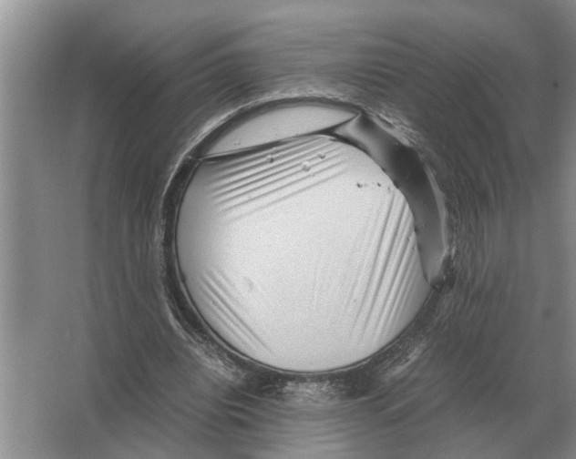 X0000065960440200603311816
