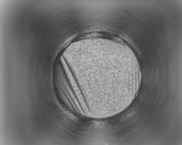 X0000065960442200603311816