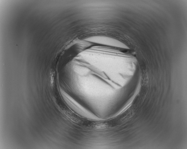 X0000065960456200603311816