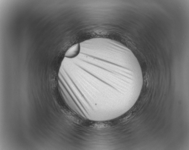 X0000065960464200603311816