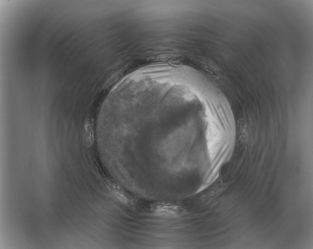 X0000065960471200603311816