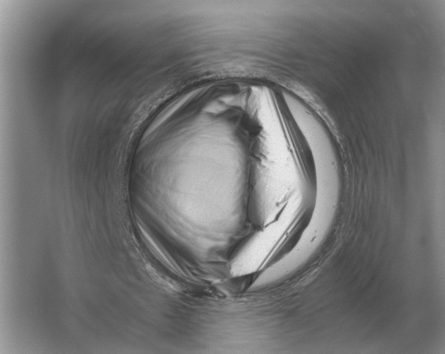 X0000065960481200603311816