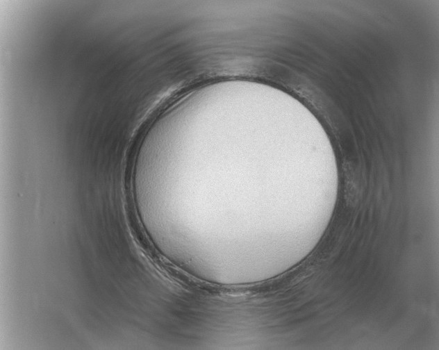 X0000065960482200603311816