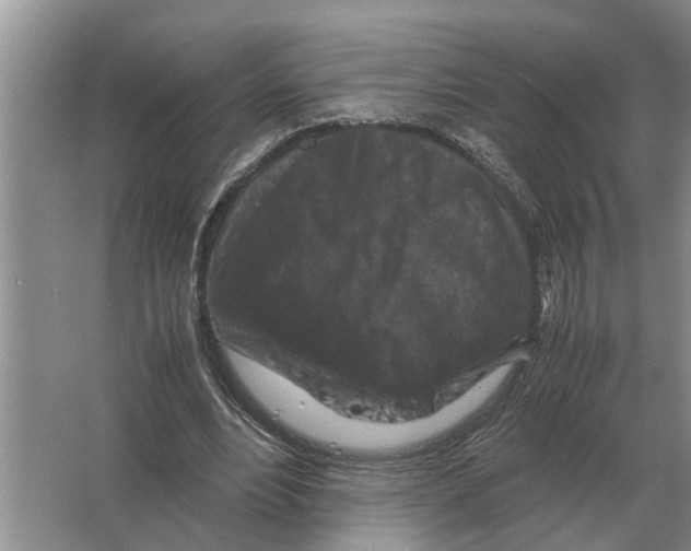 X0000065960488200603311816