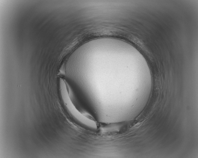 X0000065960489200603311816
