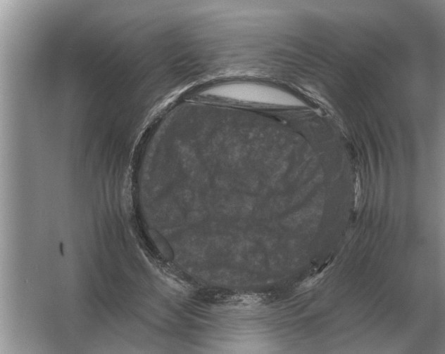 X0000065960492200603311816