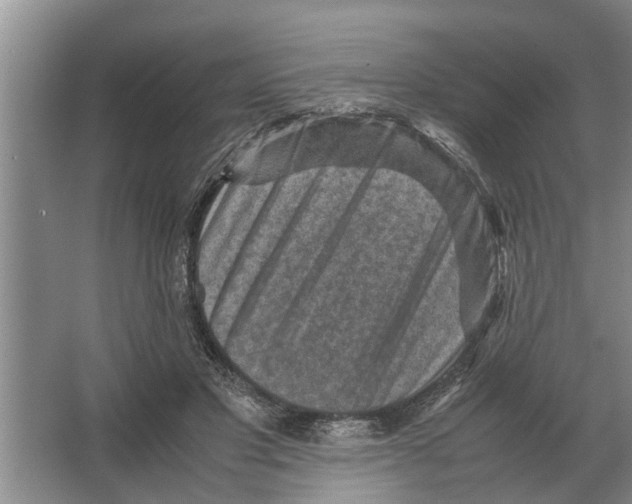 X0000065960501200603311815