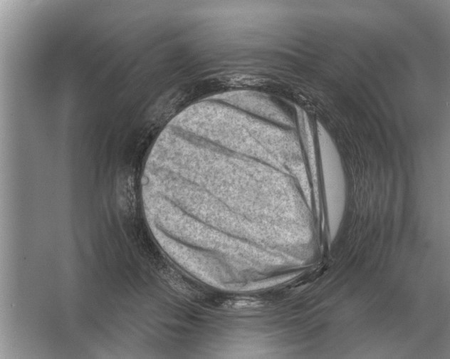 X0000065960506200603311815