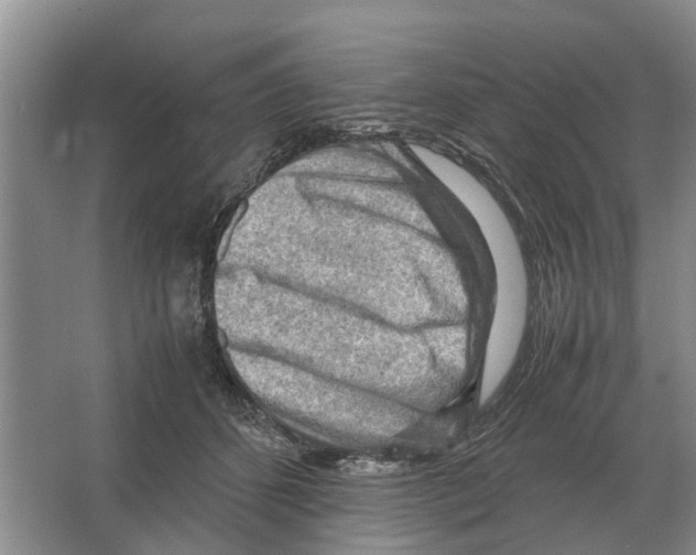 X0000065960512200603311815