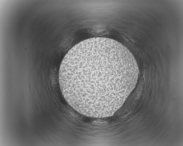 X0000065960515200603311815
