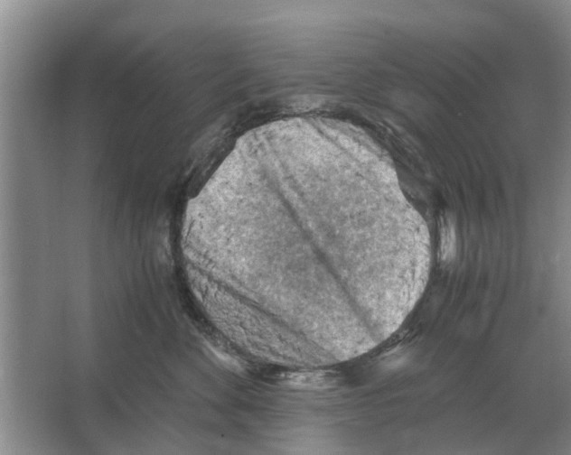 X0000065960524200603311815