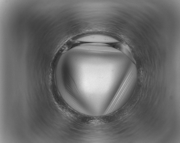 X0000065960544200603311814