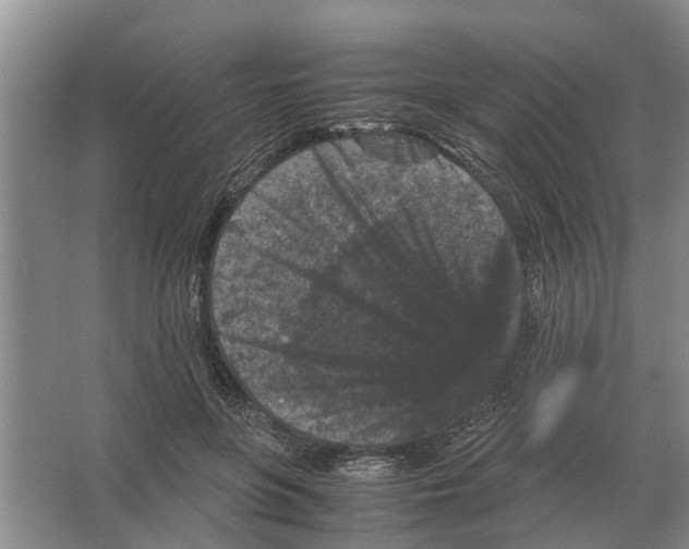 X0000065960551200603311814