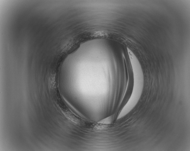 X0000065960560200603311815