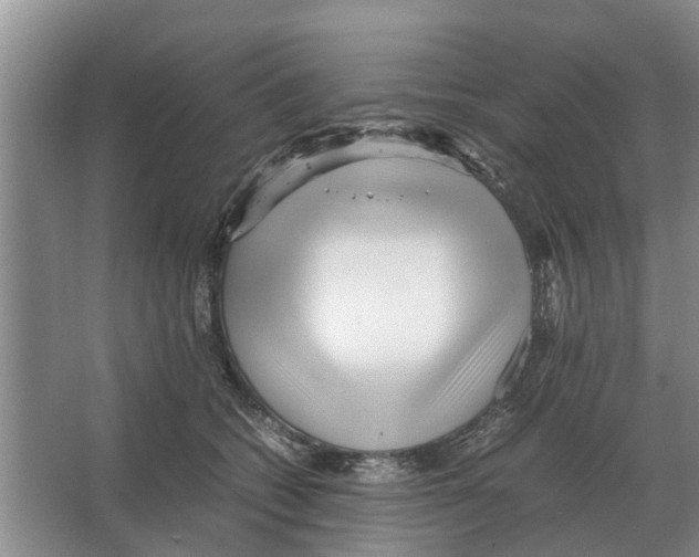 X0000065960562200603311815