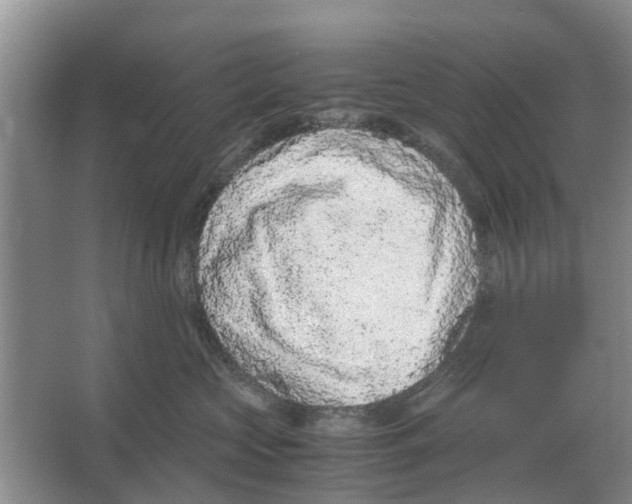 X0000065960573200603311815