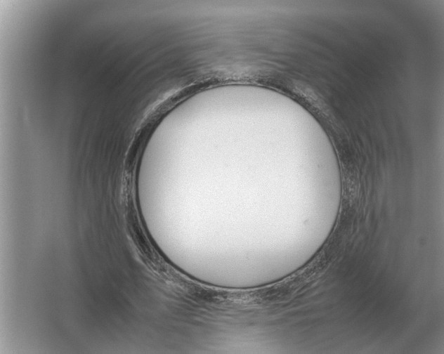 X0000065960583200603311814