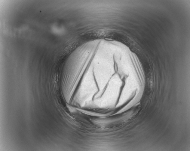 X0000065960605200603311814
