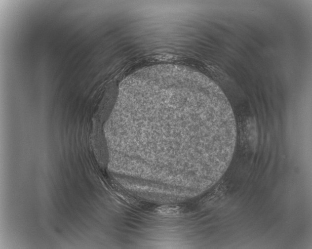 X0000065960606200603311814