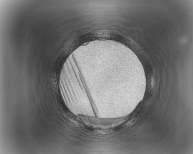 X0000065960609200603311814