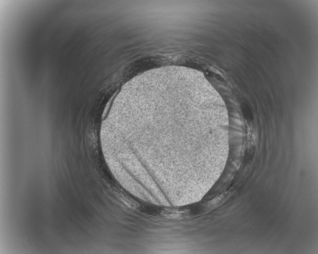 X0000065960613200603311813