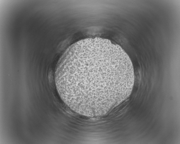 X0000065960623200603311813