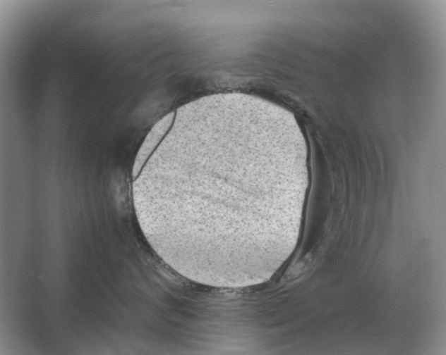 X0000065960624200603311813