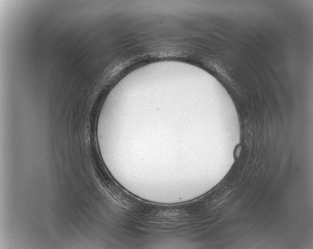 X0000065960631200603311813
